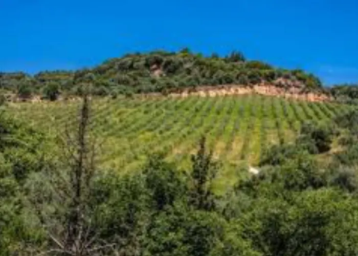 Mystras Inn