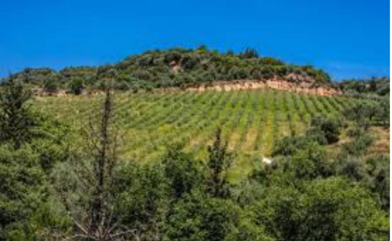 Mystras Inn Guest house